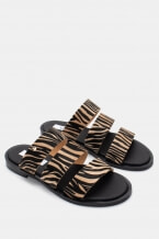 Zebra Bej