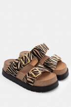 Zebra-Bej