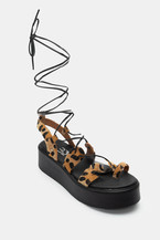 Animal Print