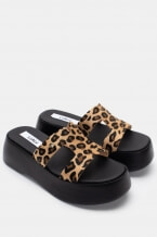 Animal Print