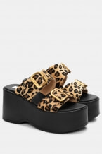 Animal Print