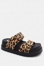 Print Animal