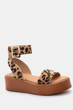 Animal Print