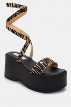 Zebra Bej