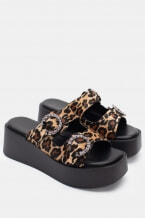 Animal Print