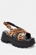Animal Print