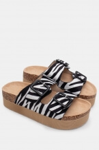 Zebra Ald Negru