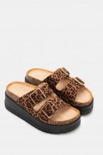 Print Animal