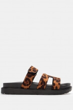 Animal Print