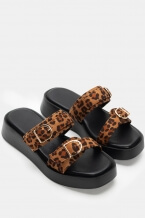 Print Animal