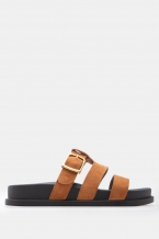 Cămil