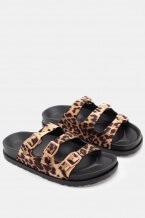Print Animal