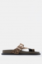 Kaki