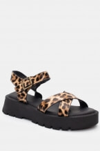 Animal Print